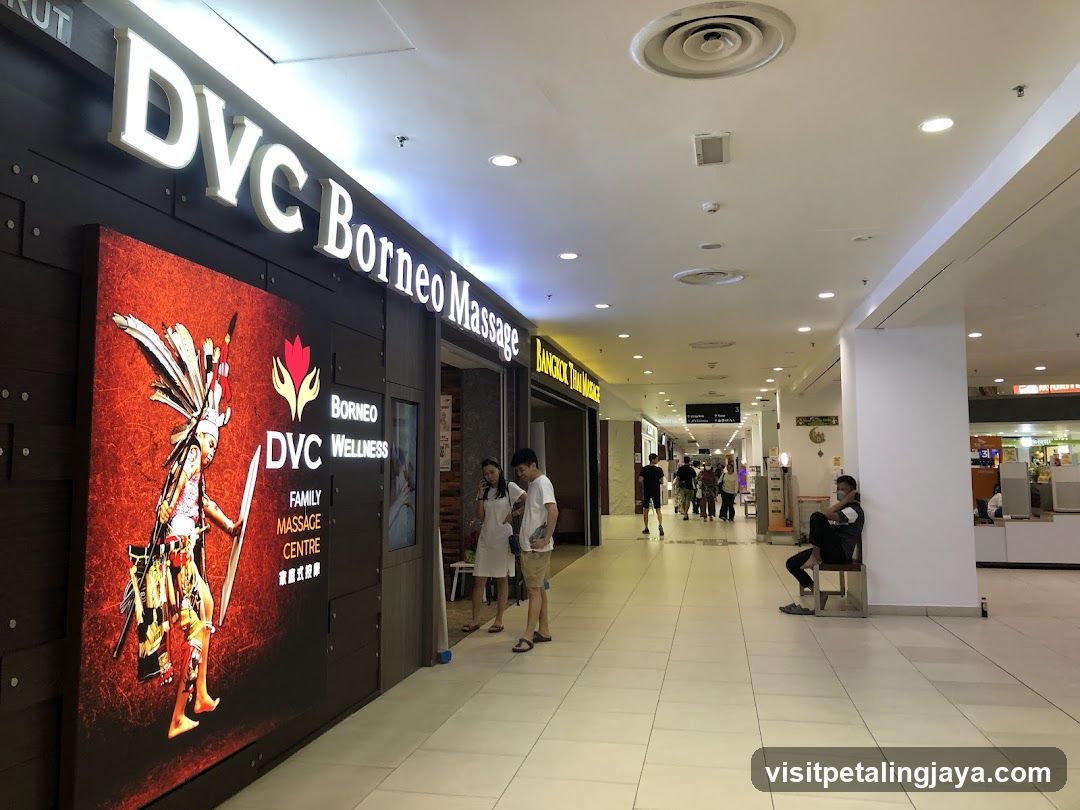 Dvc Borneo Wellness