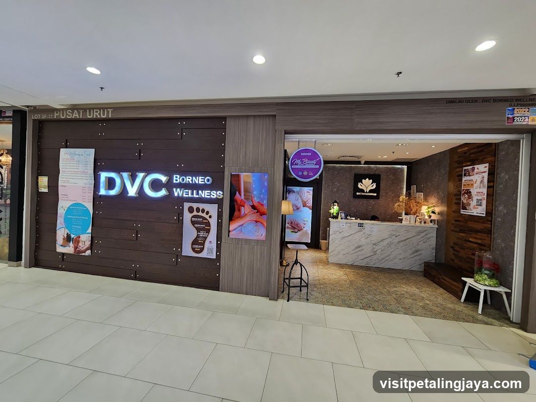 Dvc Borneo Wellness