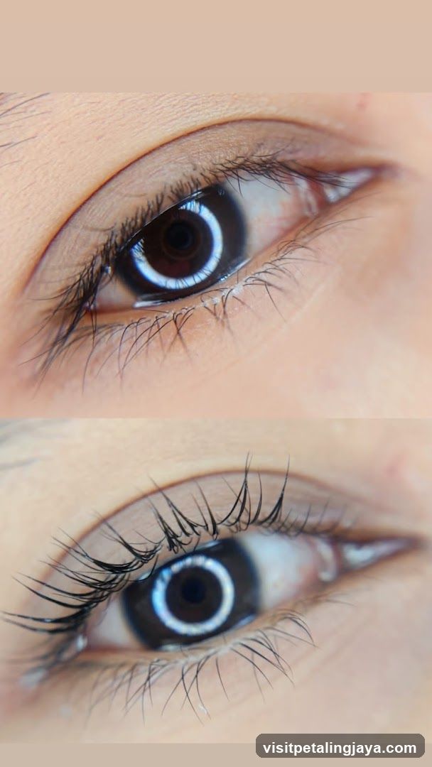 La Brow