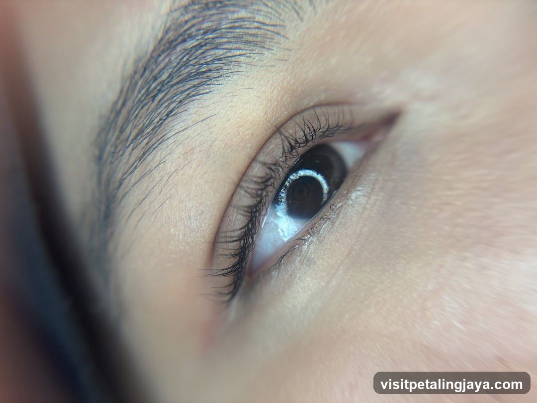 Close-up of an eye