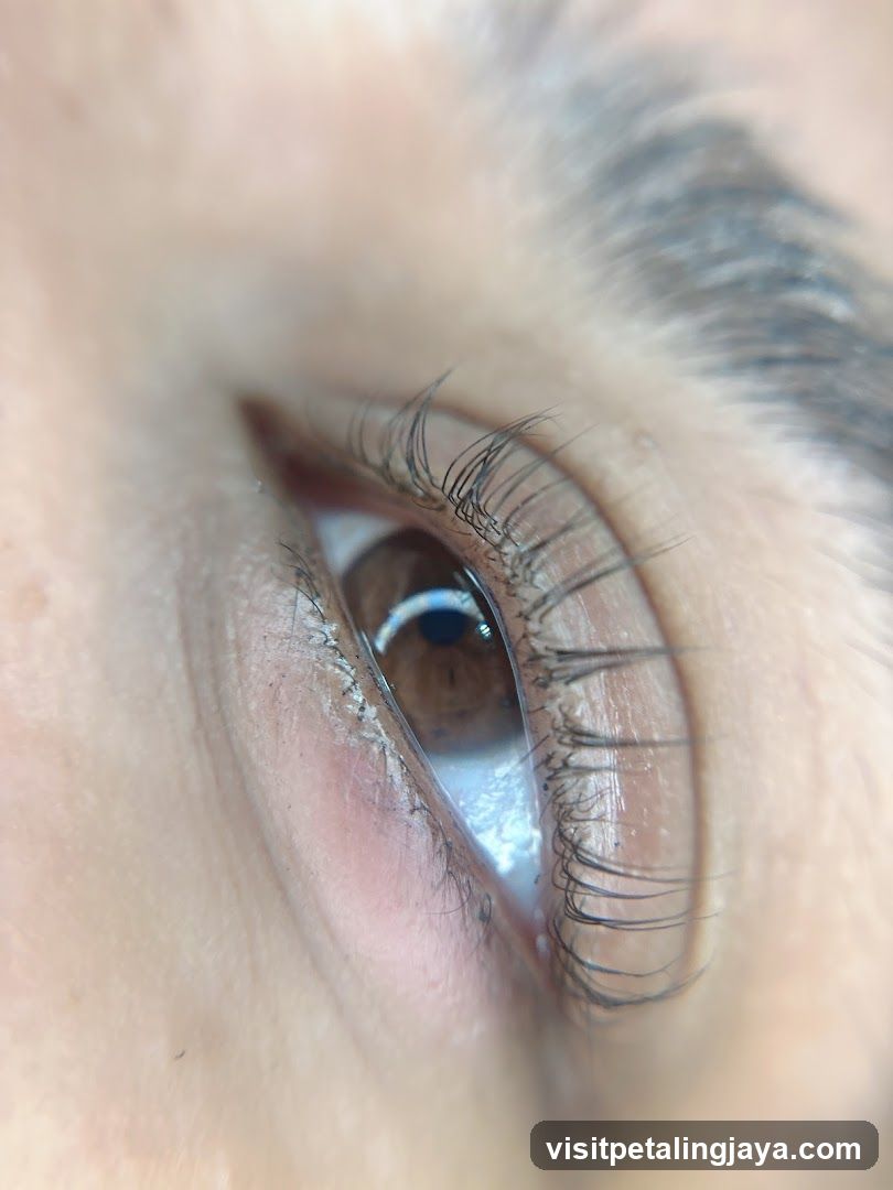 Close-up of an eye