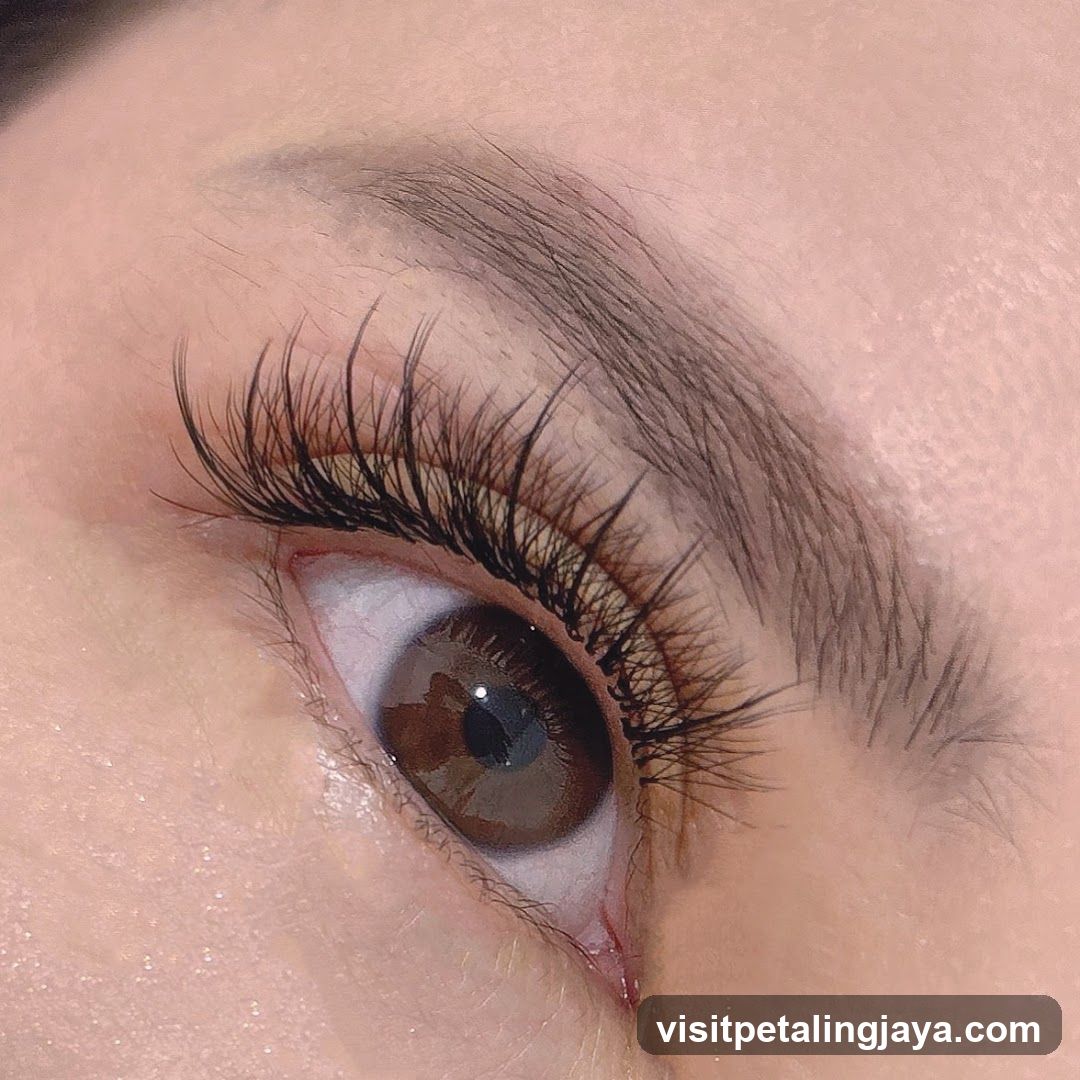 Close-up of an eye with dramatic eyelashes
