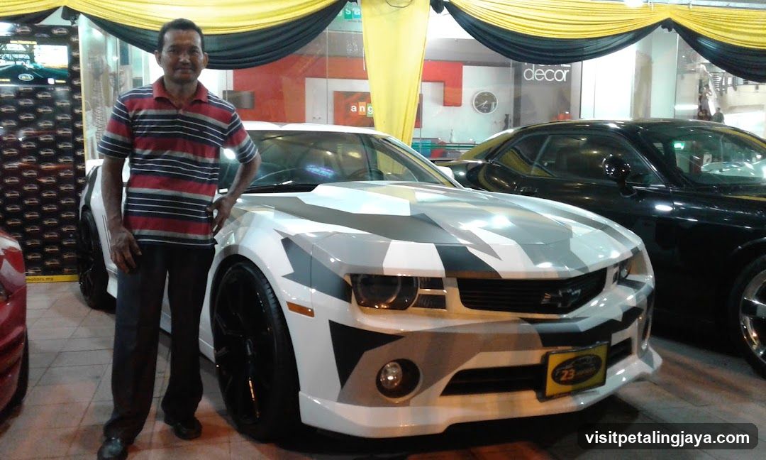 Man Posing with Camouflaged Car