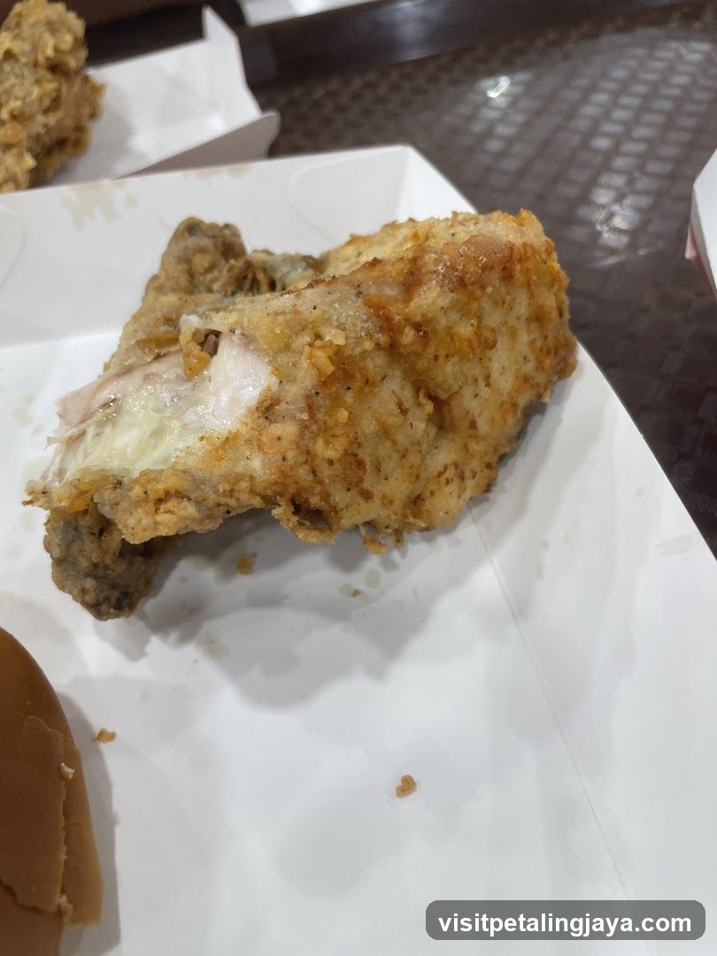 Fried Chicken Piece
