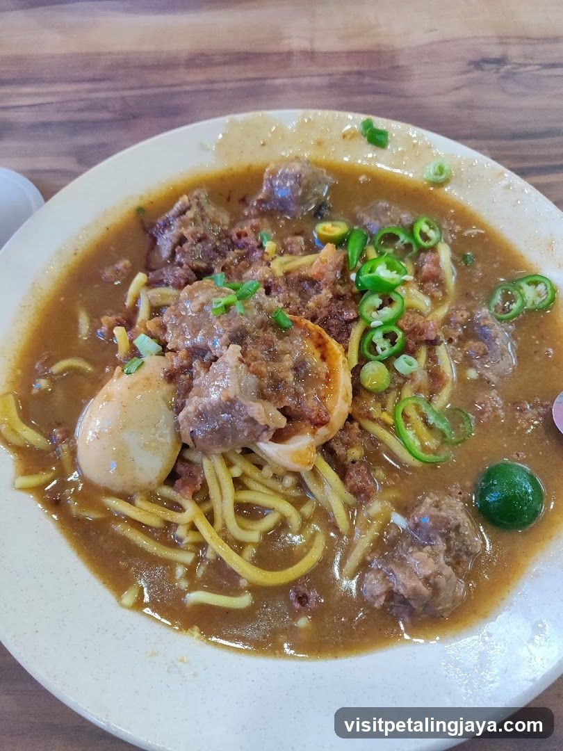 Noodle Soup with Meat and Egg