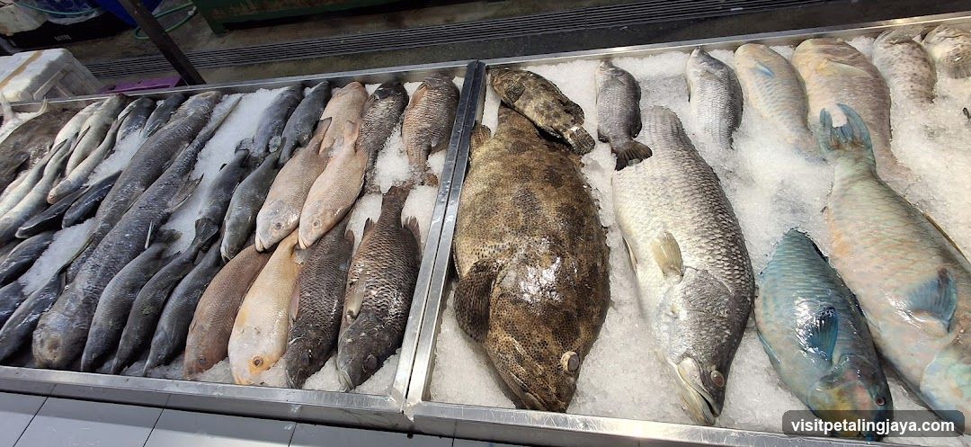 Fresh Fish Display