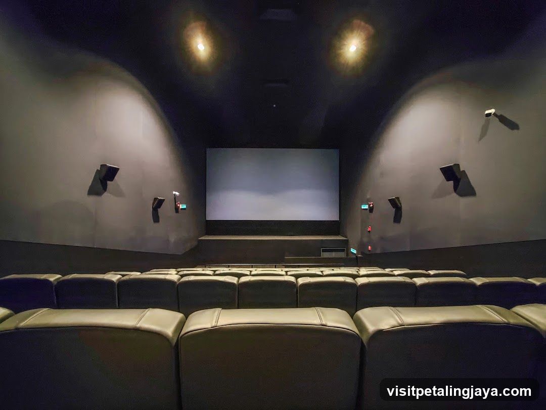 Empty Cinema Auditorium