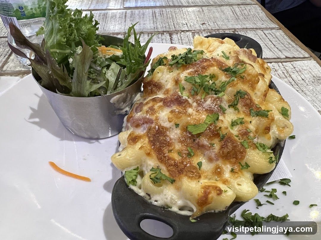 Macaroni and Cheese with Side Salad