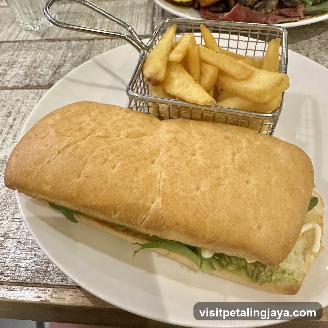 Sandwich and Fries