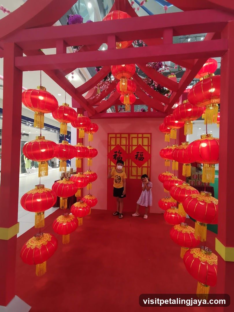 Chinese New Year Decorations