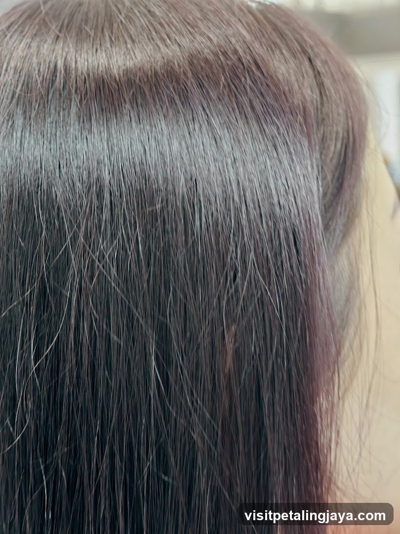 Close-up of Dark Hair with Subtle Purple Tones