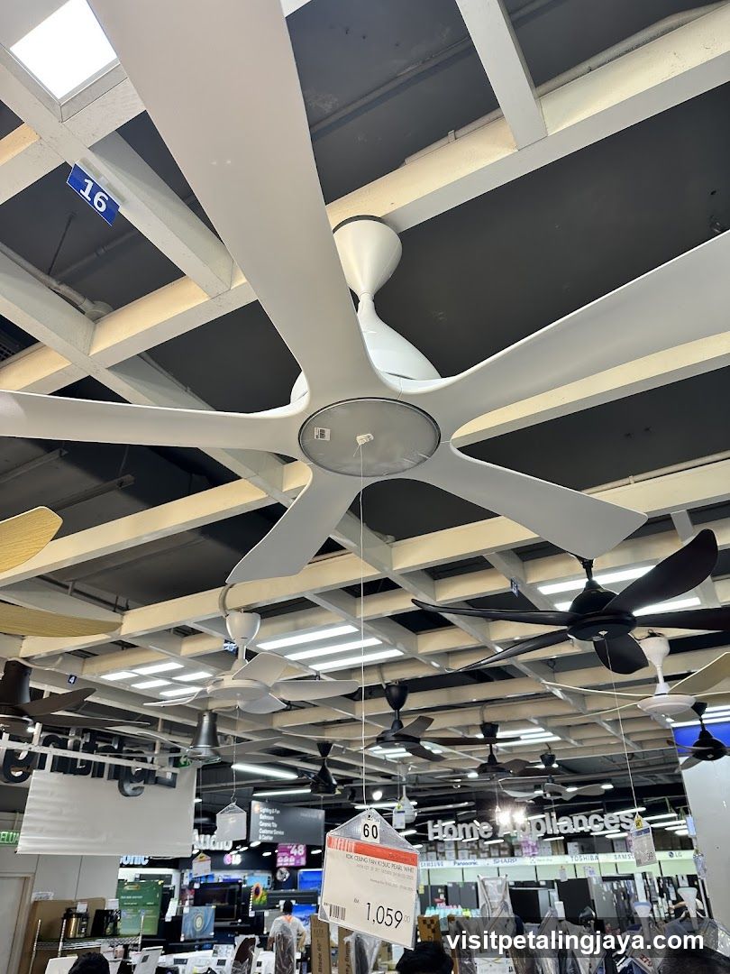 Ceiling Fans
