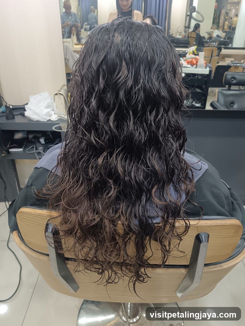 Hairdresser's Chair