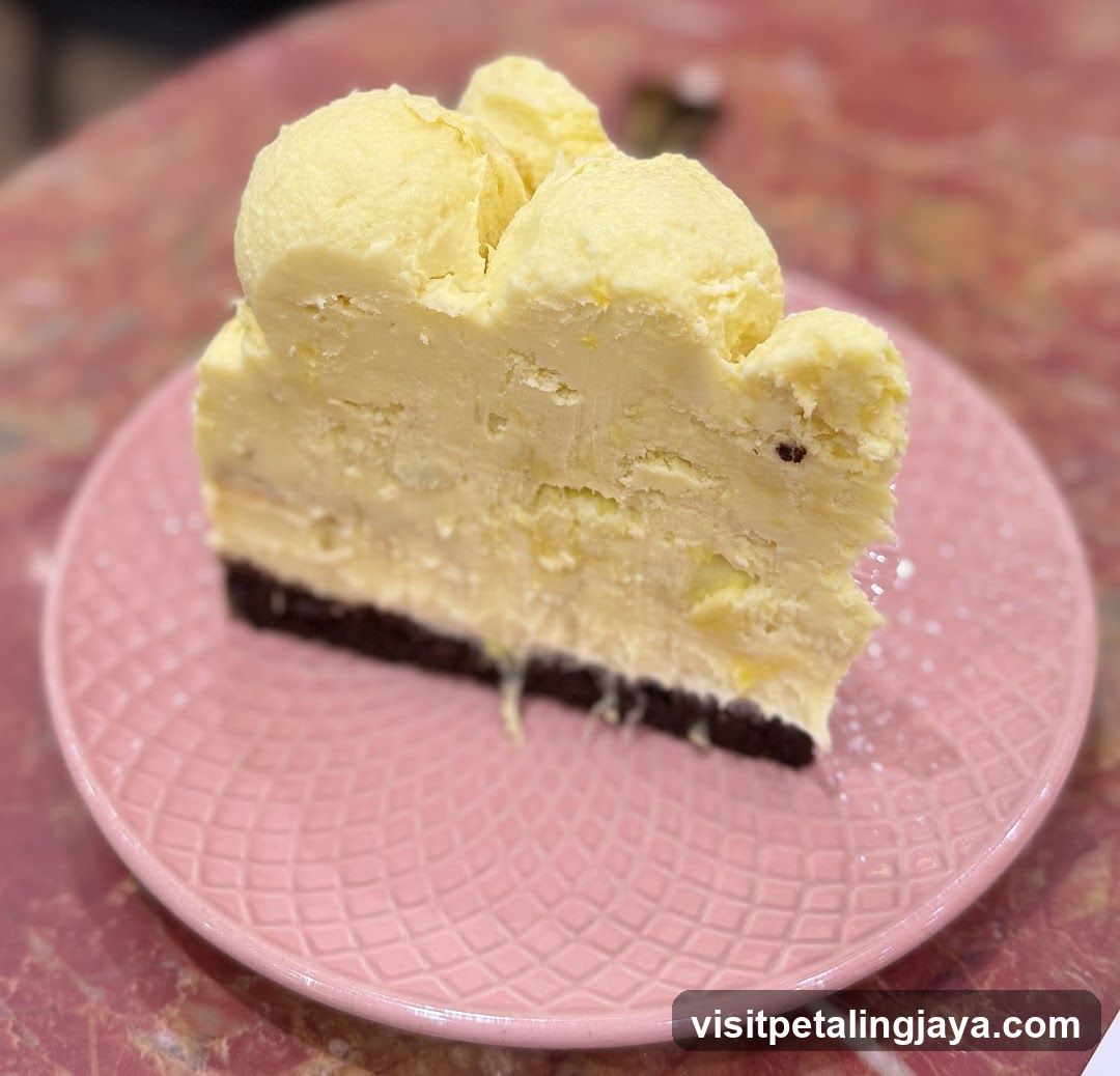 Ice Cream Slice on Pink Plate