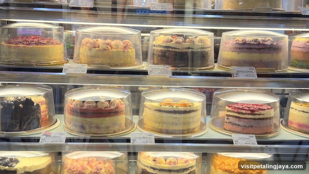 Cake Display Case