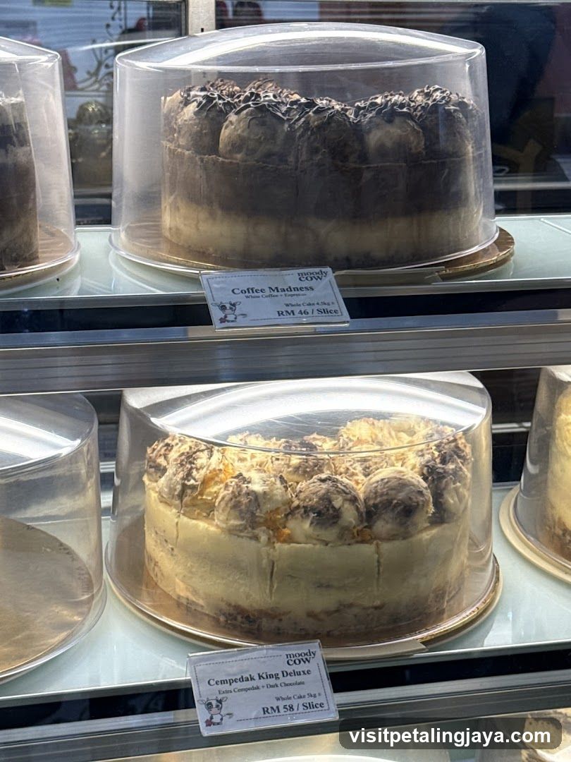 Cake Display Case