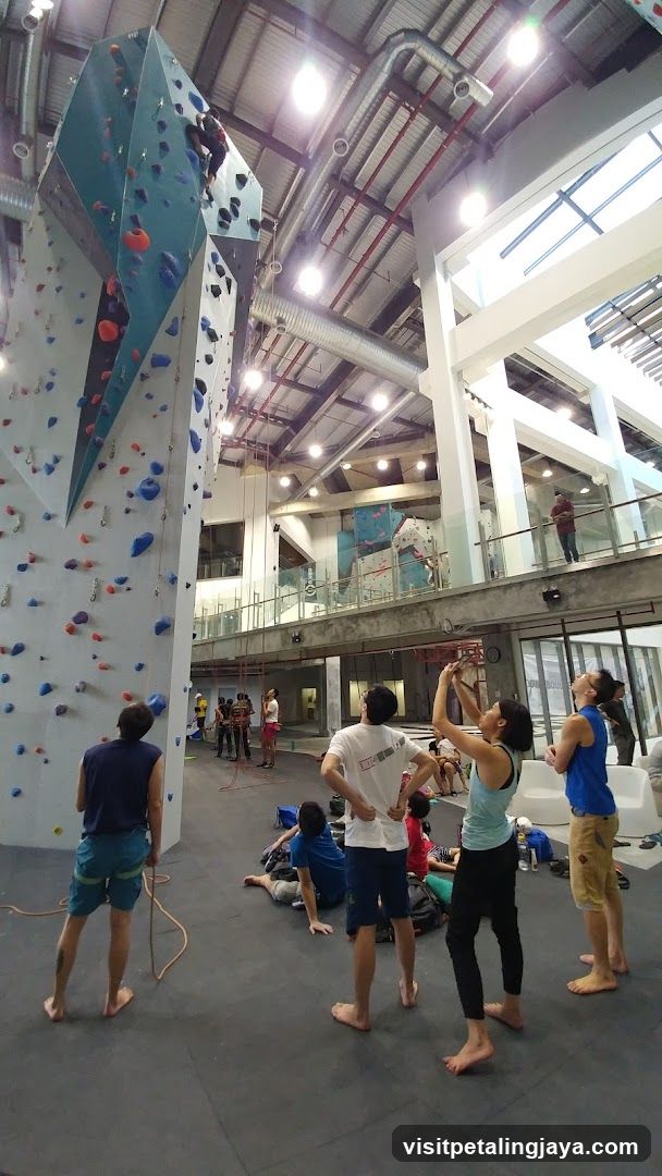Camp5 Climbing Gym Paradigm