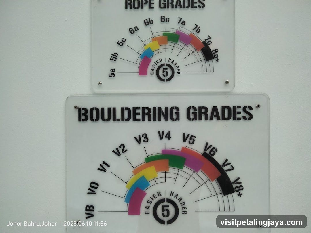 Camp5 Climbing Gym Paradigm