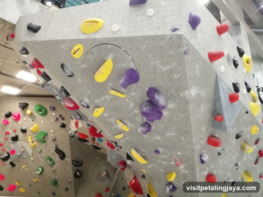Indoor Climbing Wall