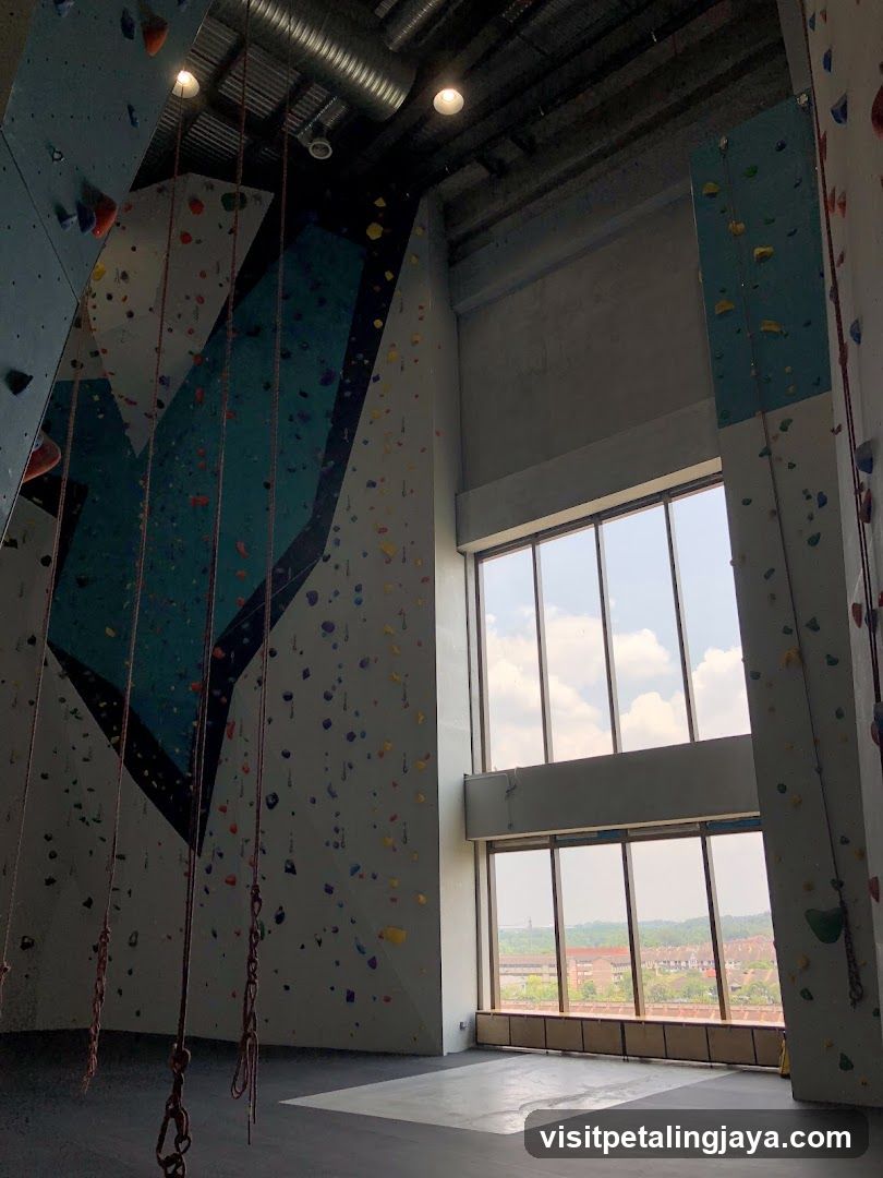 Indoor Climbing Gym