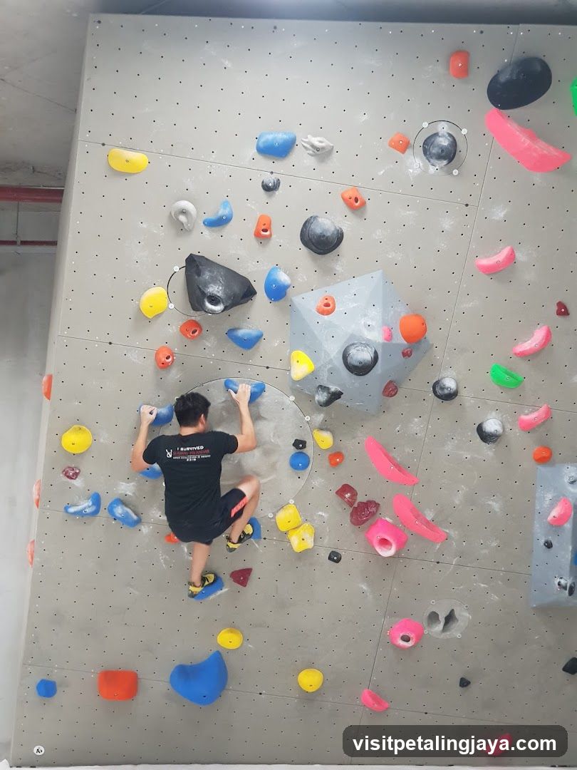 Climbing Wall Interior