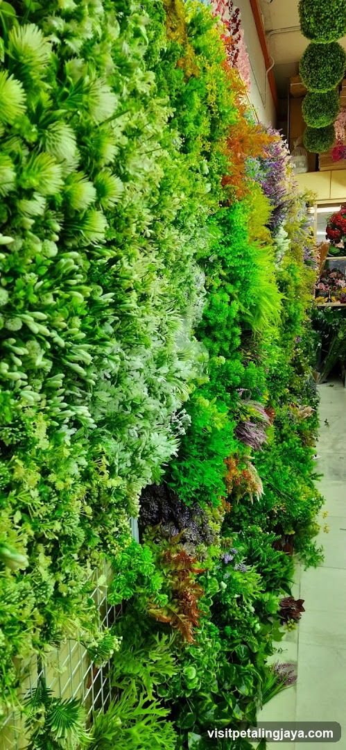 Interior Plant Display