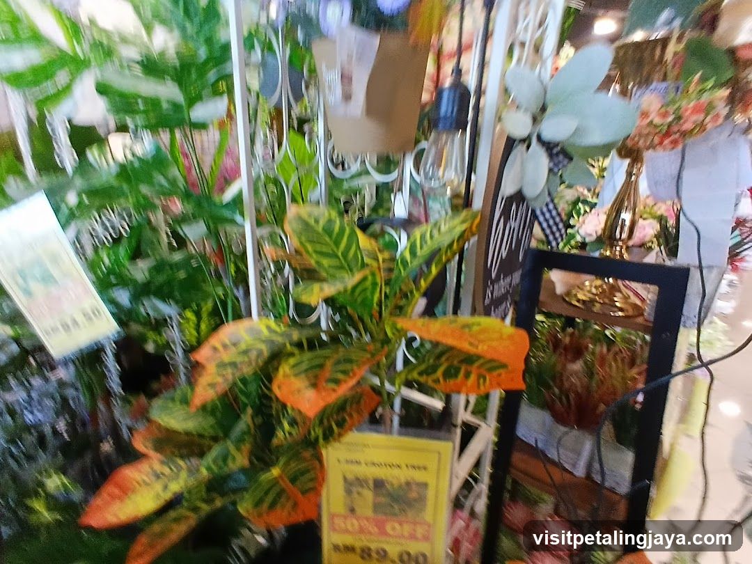 Plants and Home Decor