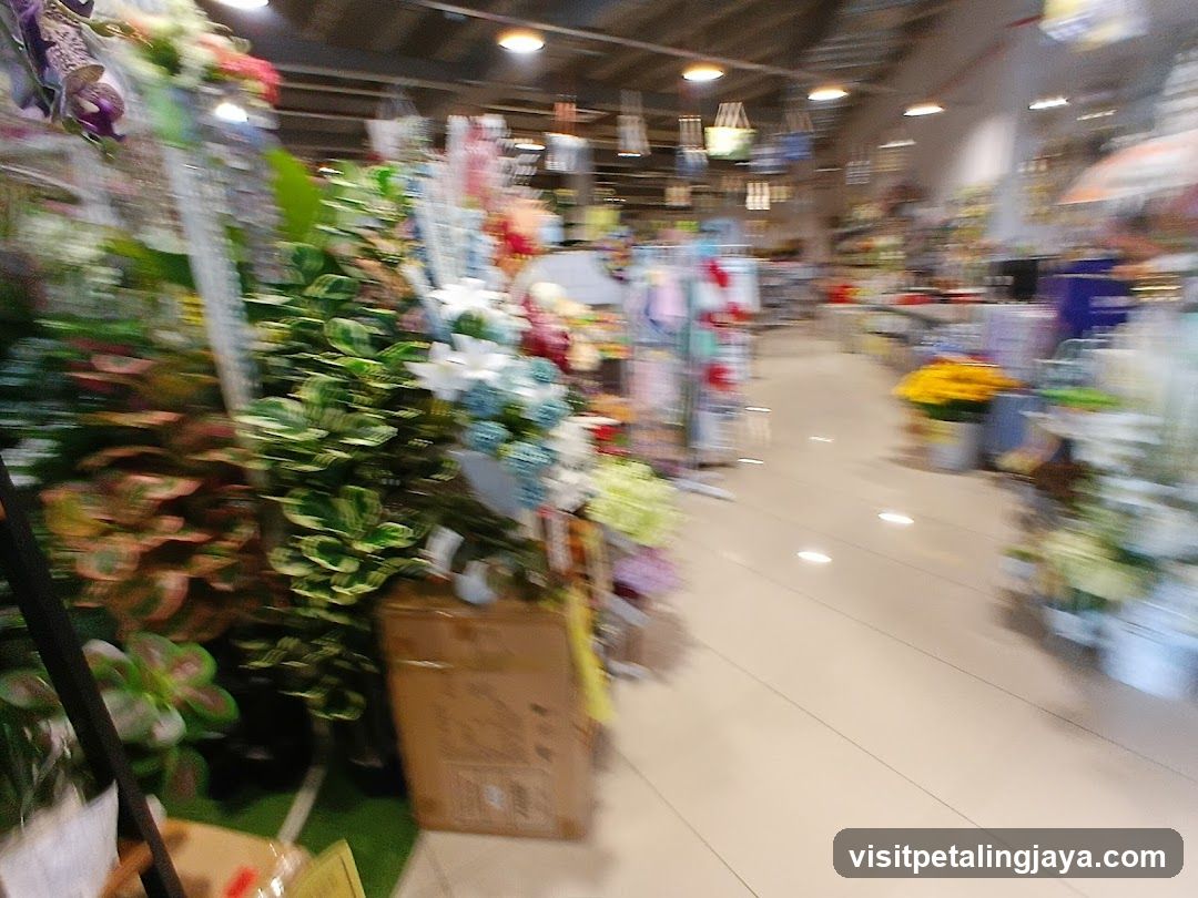 Indoor plant and flower shop