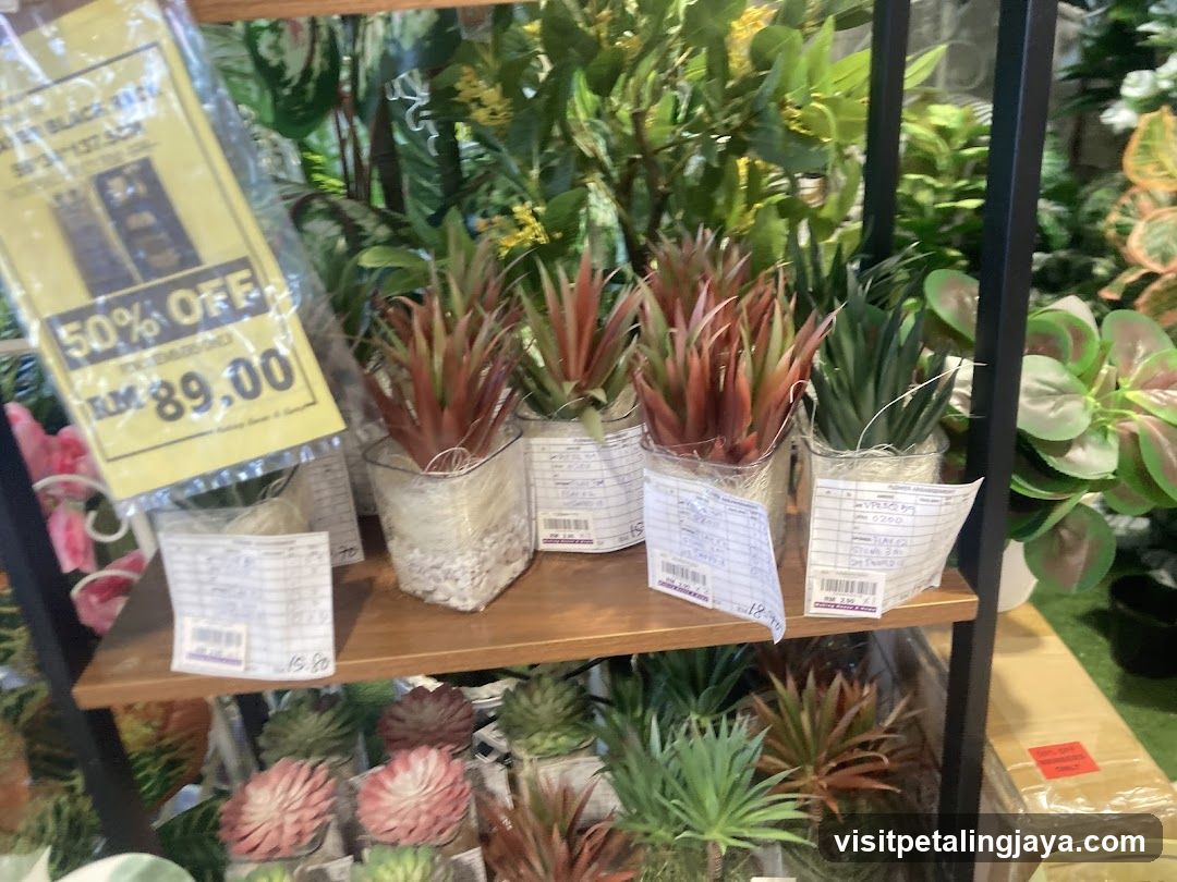 Artificial Plants on Shelves