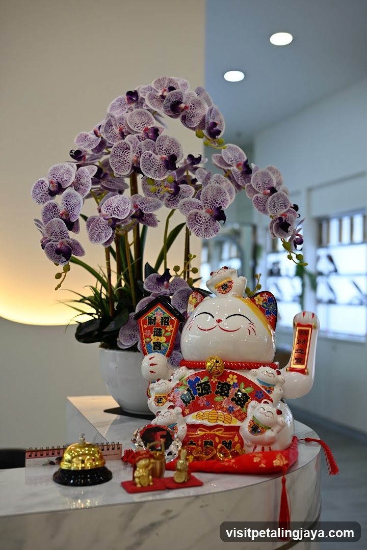 Maneki-neko and Orchids