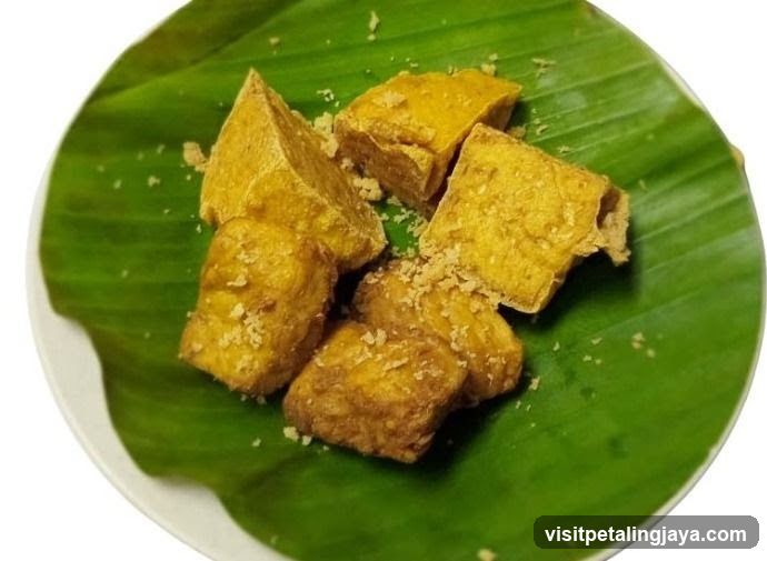 Fried Tofu