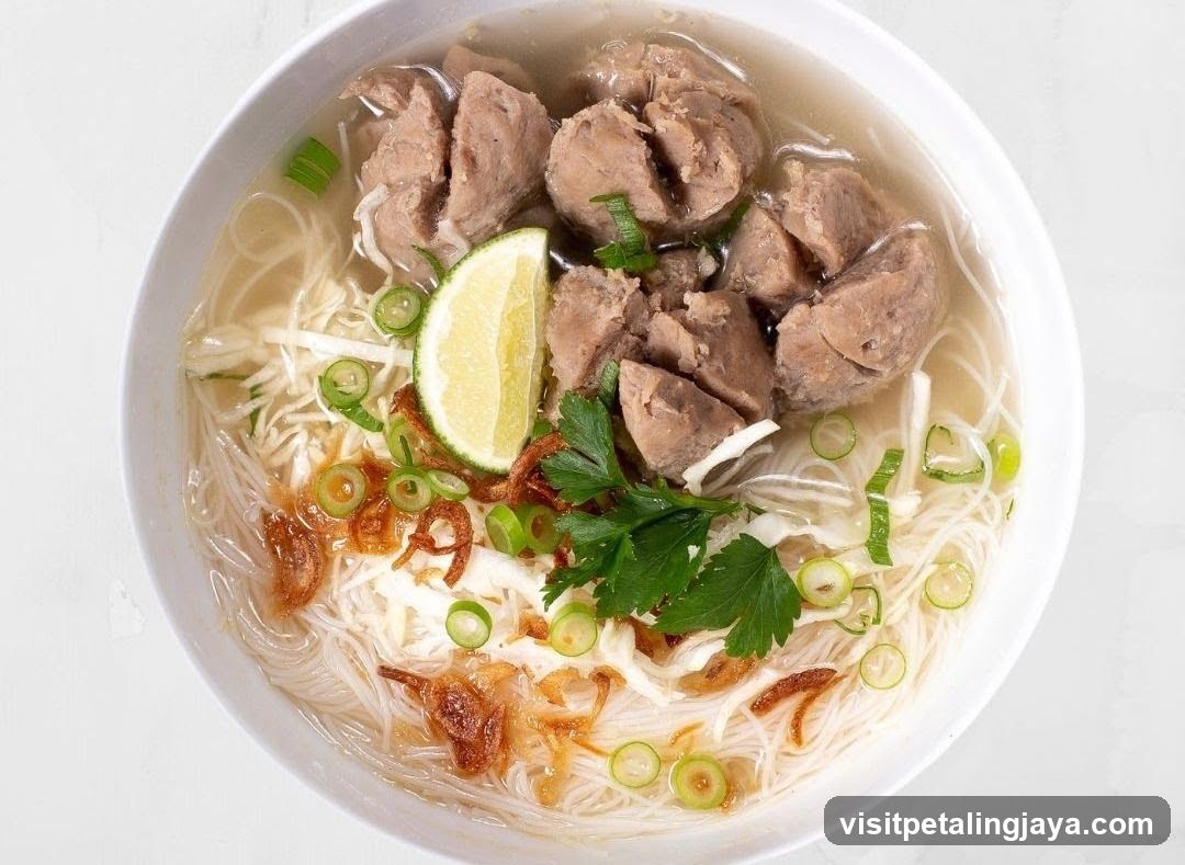 Bowl of Noodle Soup with Meatballs