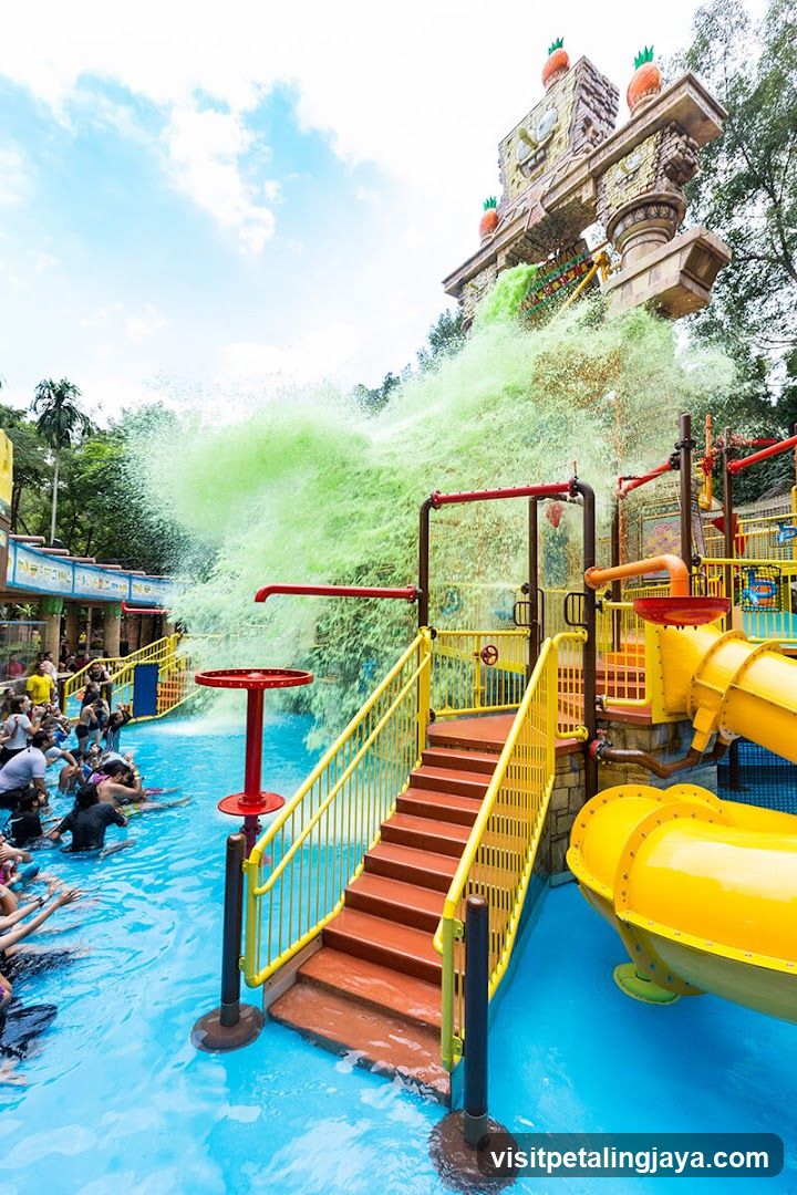 Water Park Attraction