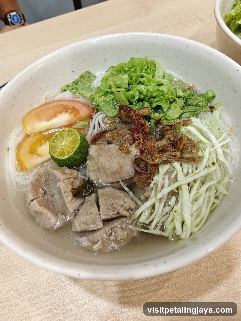 Bowl of Noodle Soup with Meatballs