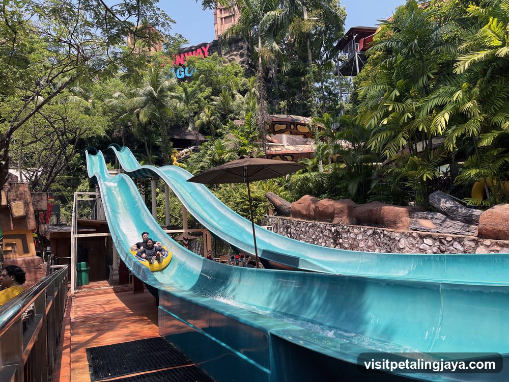 Water Slides at a Tropical Theme Park