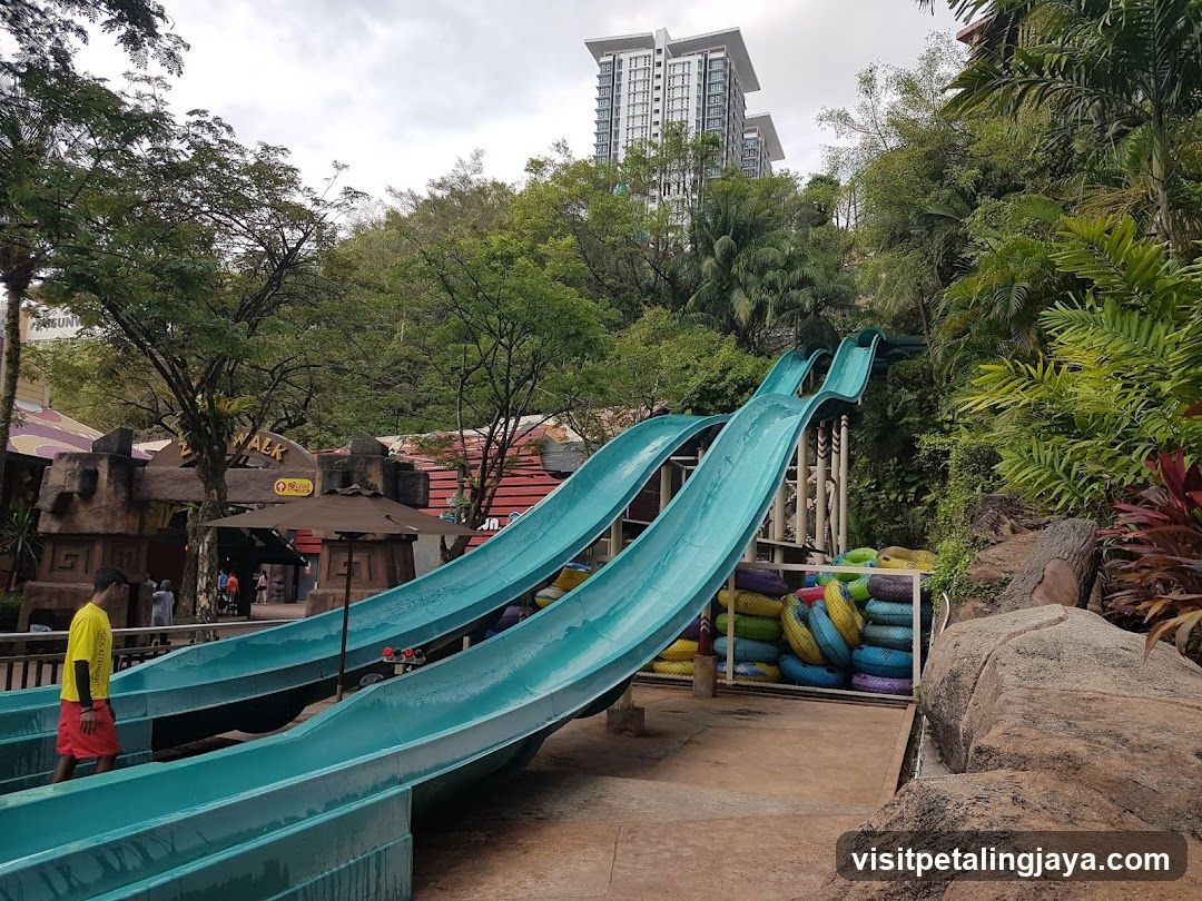 Water Slides at a Water Park