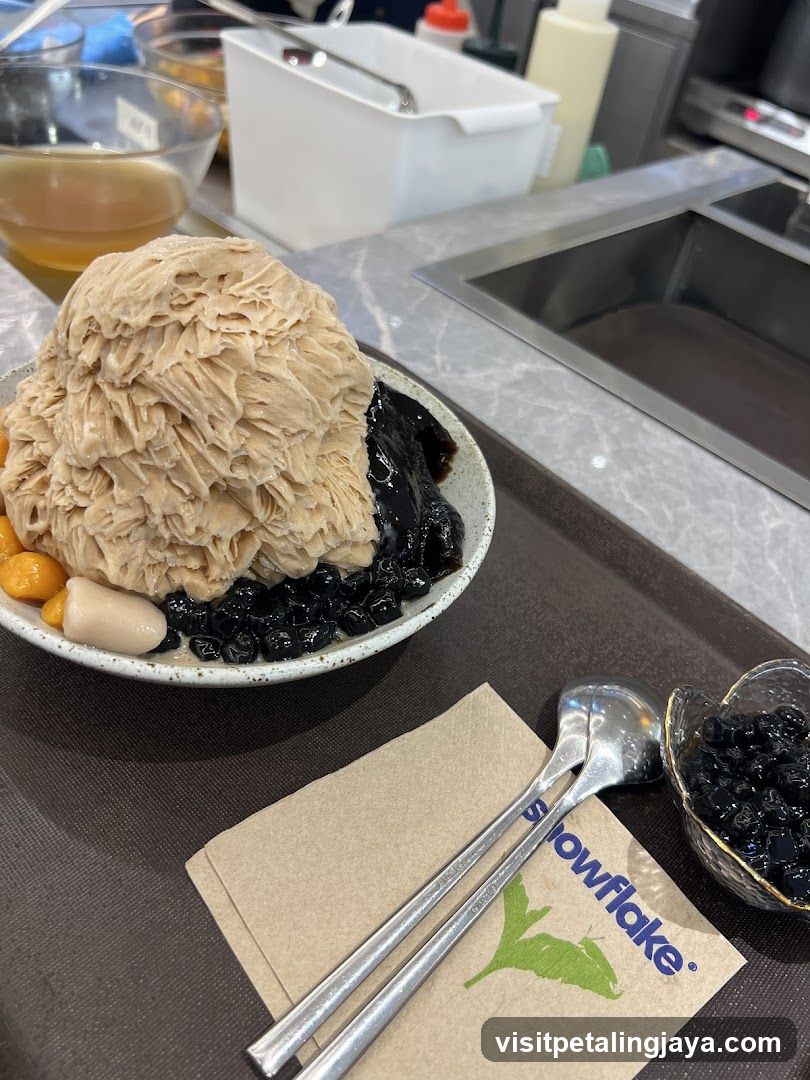 Shaved Ice Dessert with Toppings