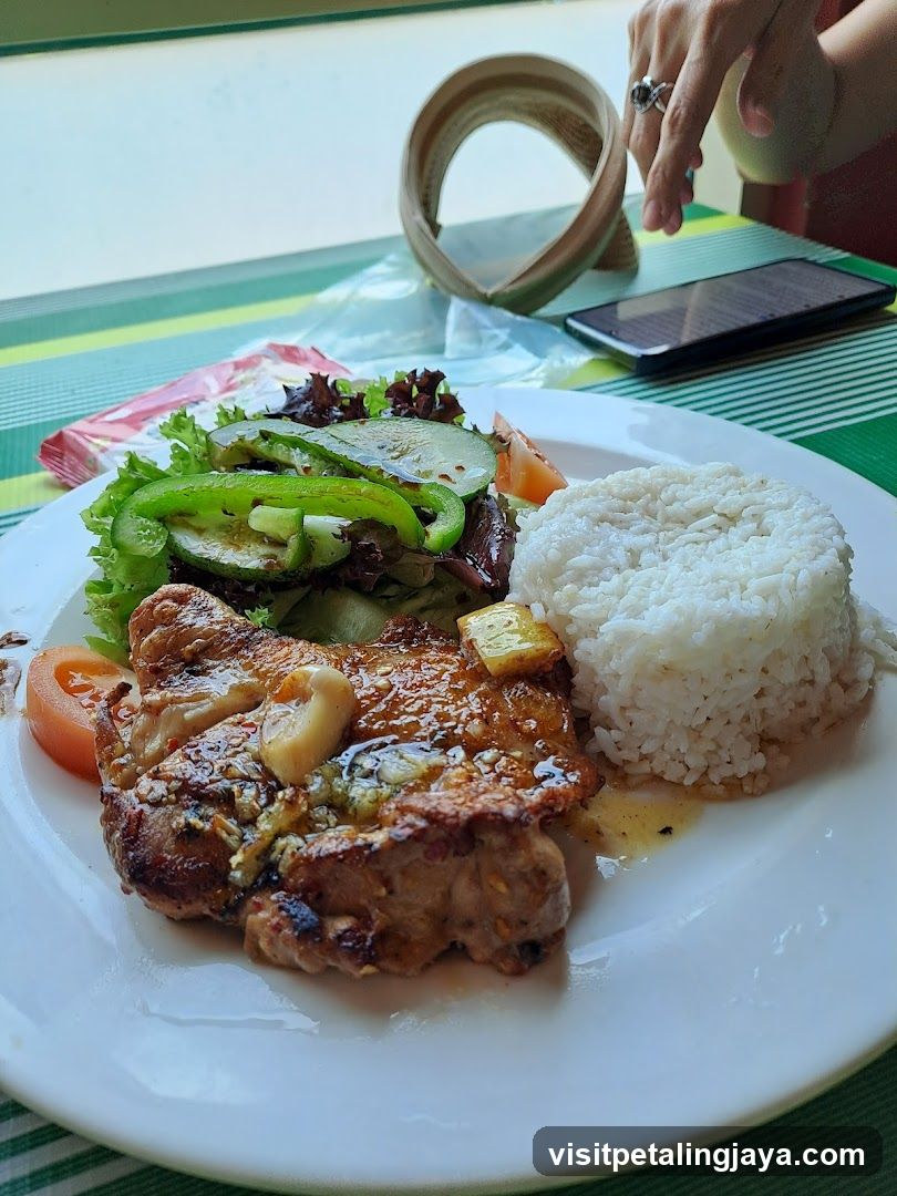 Grilled Pork Chop with Rice and Salad
