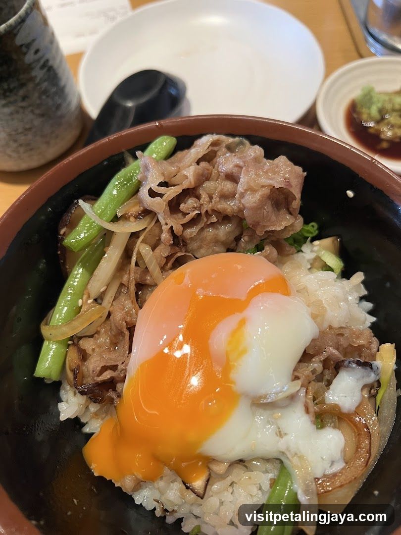 Beef and Egg Rice Bowl