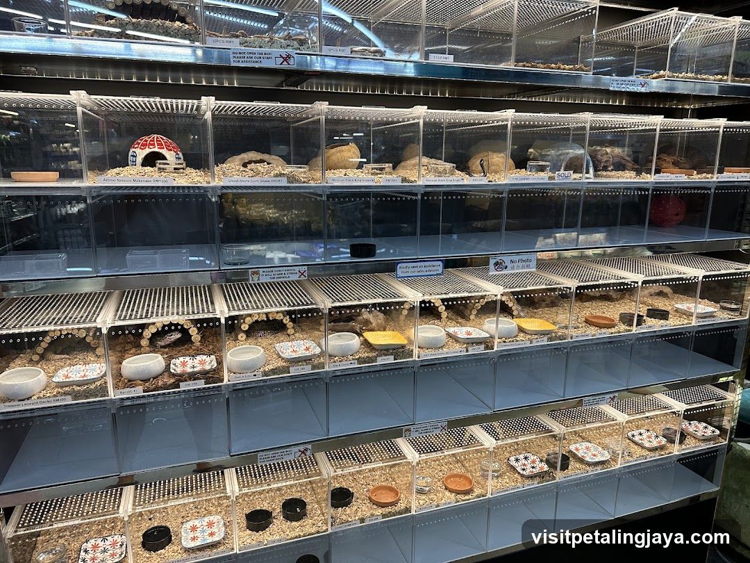 Pet Store Enclosures