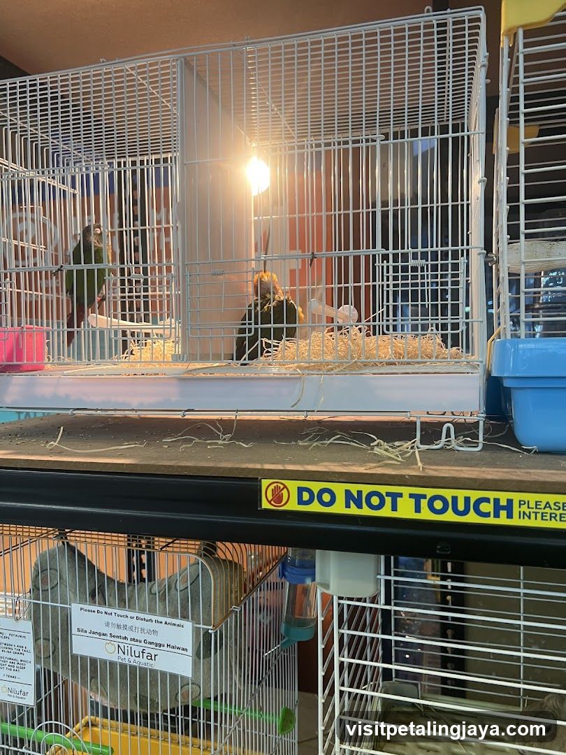 Pet Cages with Animals