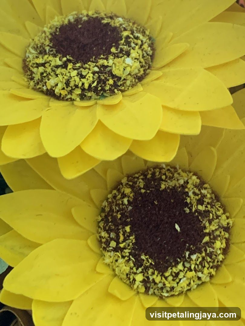 Sunflower Close-up