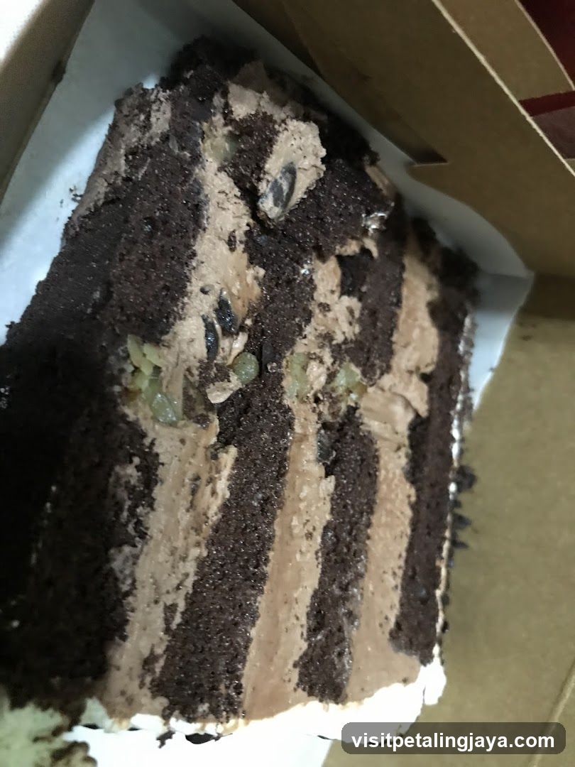 Chocolate Cake Slice