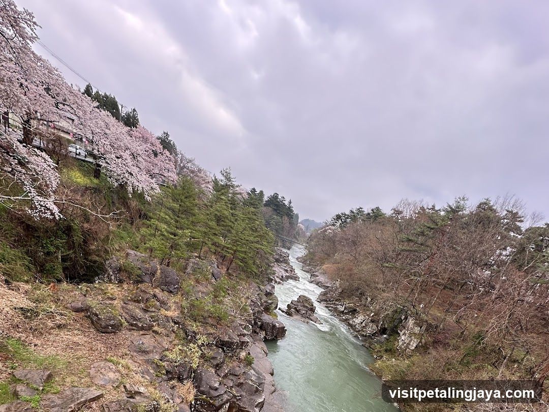 River Valley with Cherry Blossoms