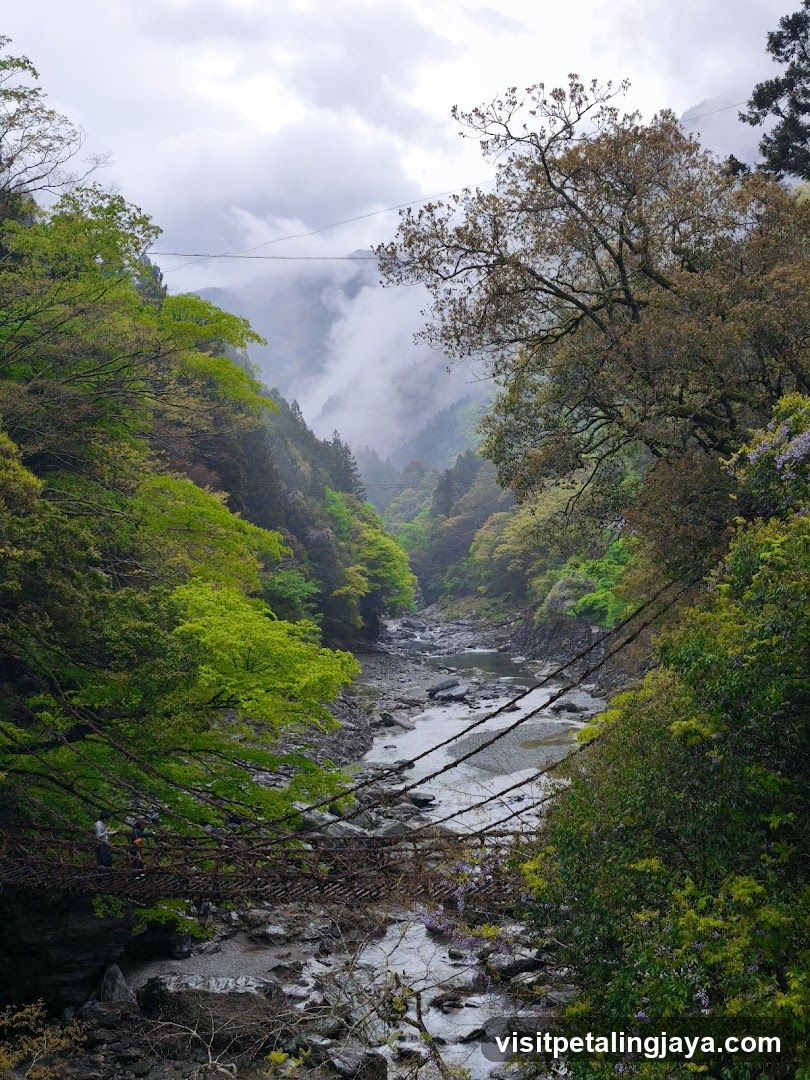 Riverside Suspension Bridge in Misty Valley