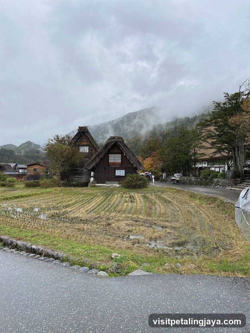 Traditional Japanese Houses in Rural Setting