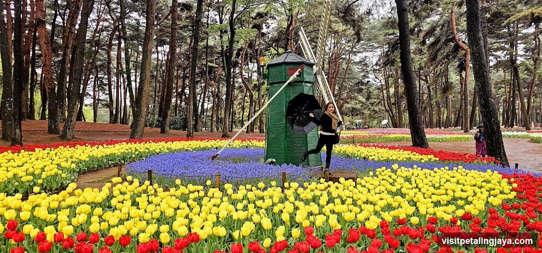 Flower Garden with Windmill