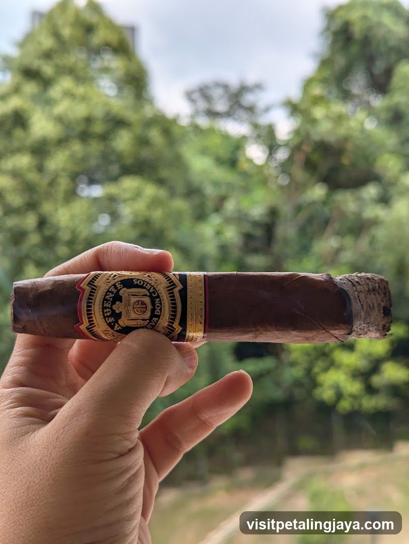 Cigar held against green background