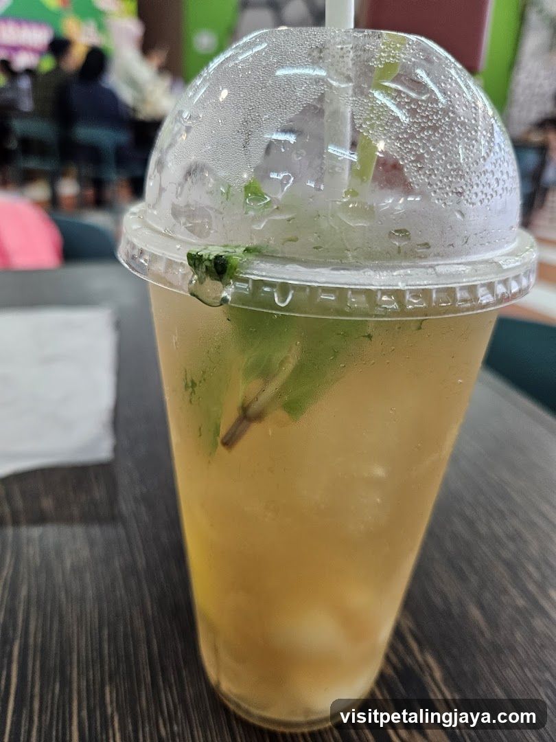 Iced Drink with Mint and Fruit