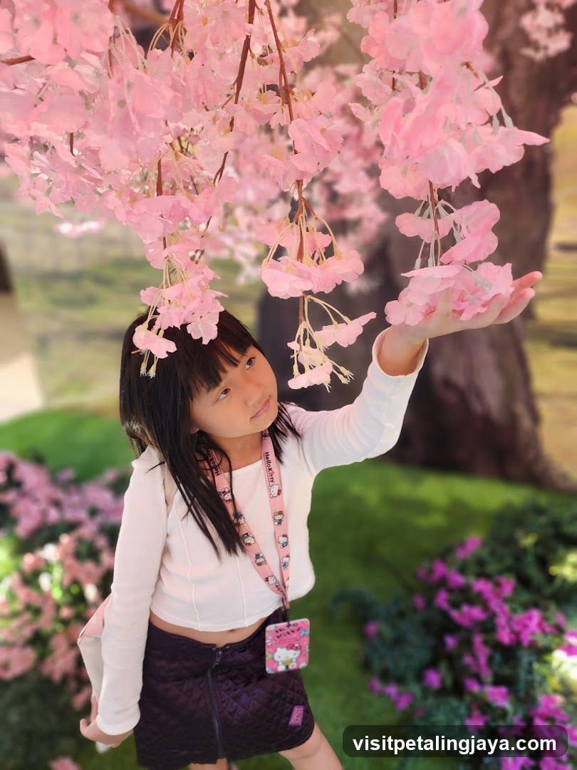Girl with Cherry Blossoms